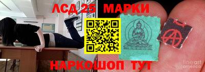 2c-b Кингисепп