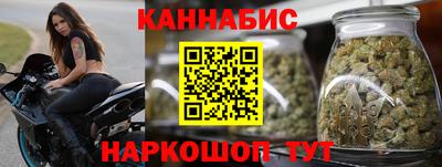 2c-b Кингисепп